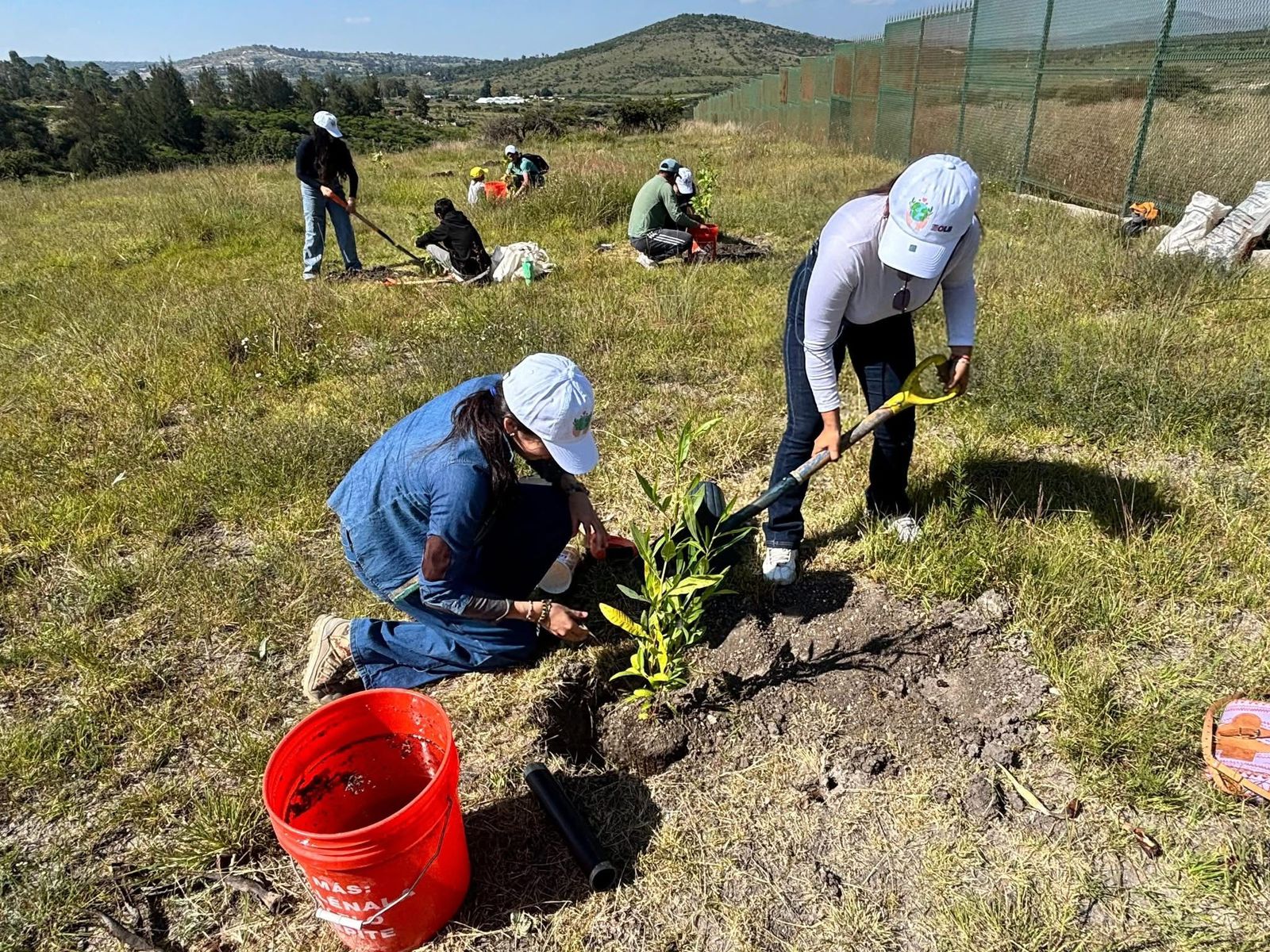 Reforestación Puebla